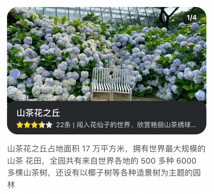 山茶花之丘