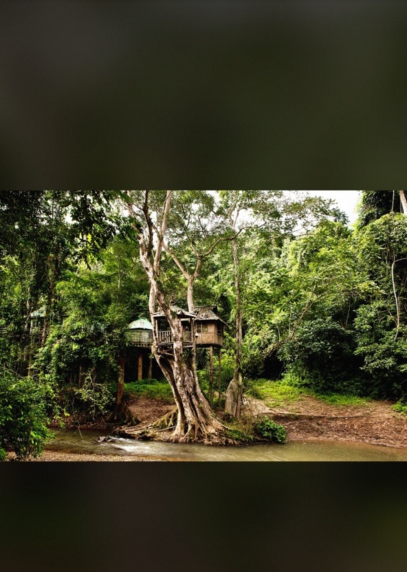中科院热带植物园